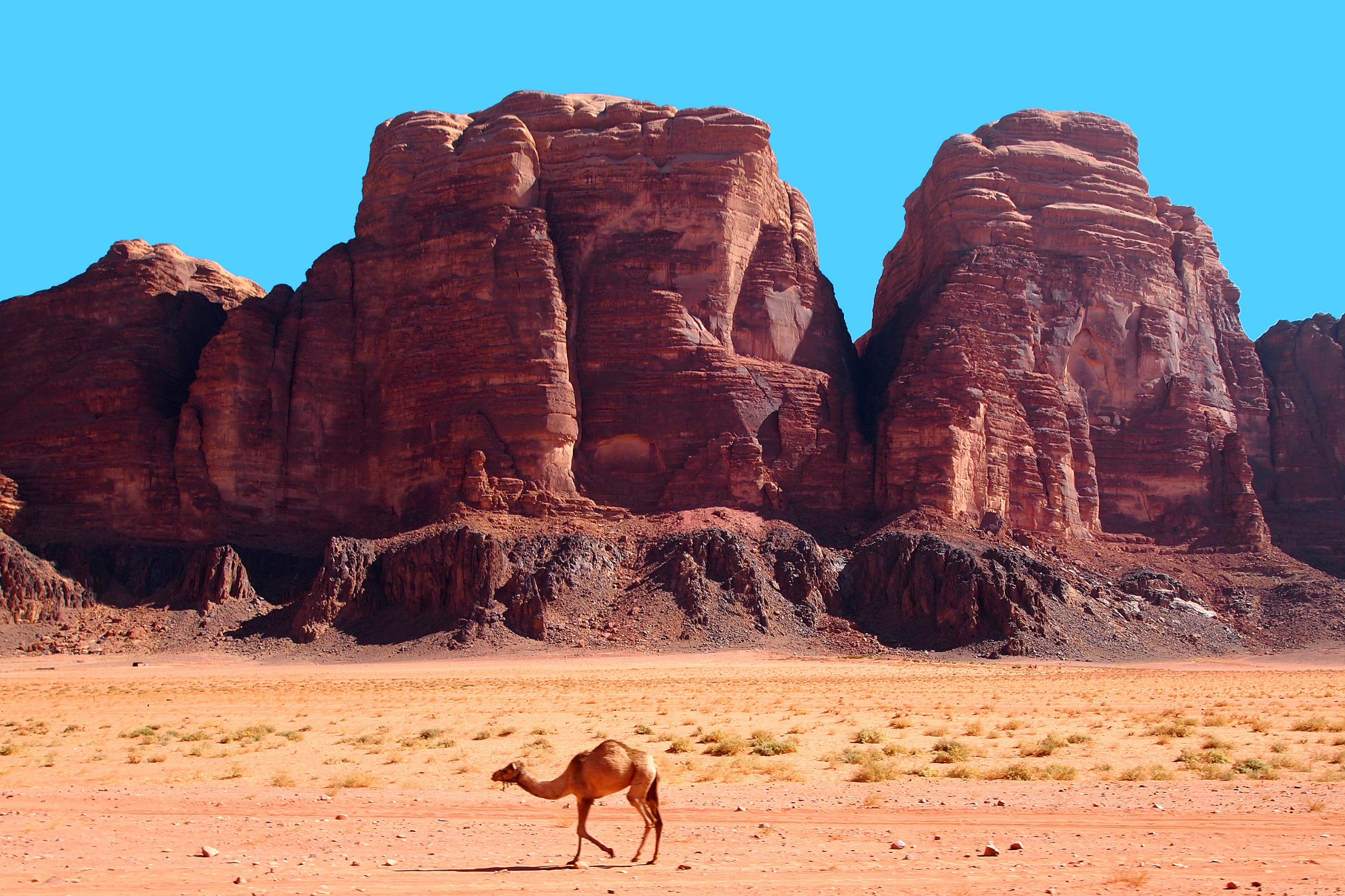 wadi rum desert & protected area (2).webp